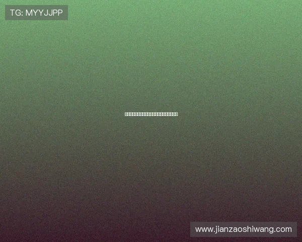 篮球风暴笔趣阁热血激战场上争锋荣耀梦想之旅